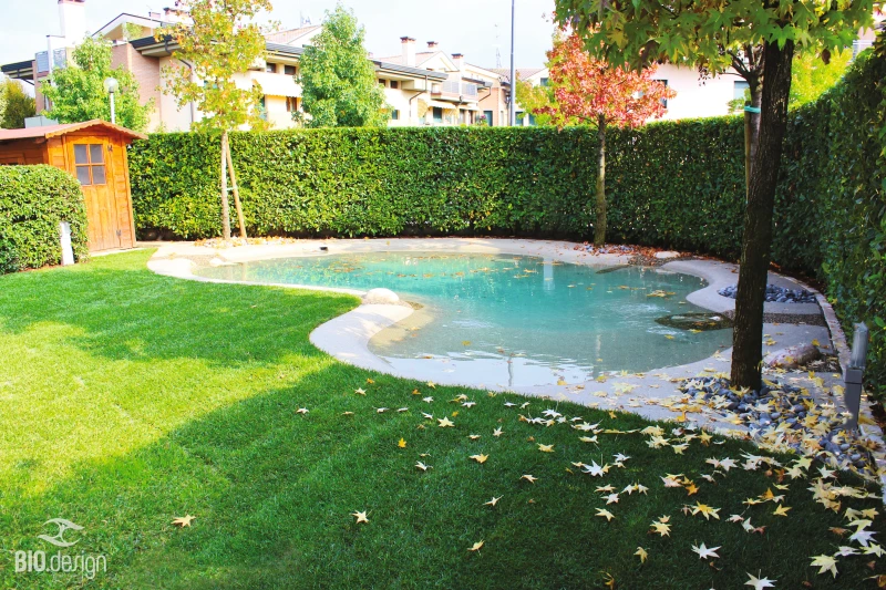 Réalisation piscine lagon